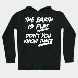 The earth is flat didn't you know that Hoodie